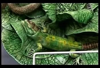 Flog It! At Eastbourne Auction