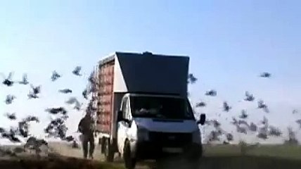 2012 Kart Yarışları Hamidiye Etabı Salımı