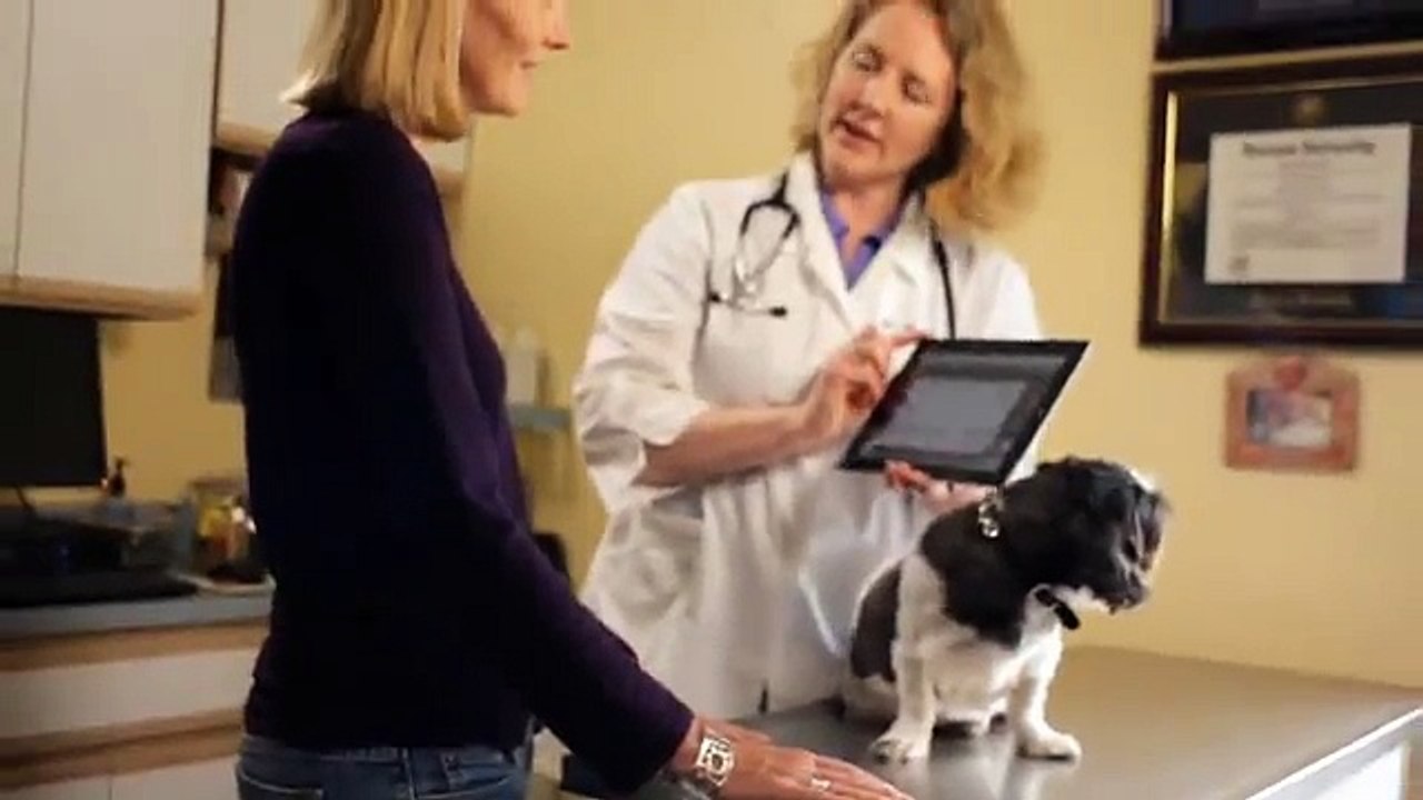 VetConnect PLUS - Revolutionize the way you view and share your patients' results