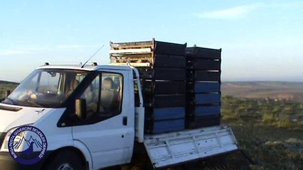 Bursa Posta 2011 5.Etap Yeni Mehmetli Salımı