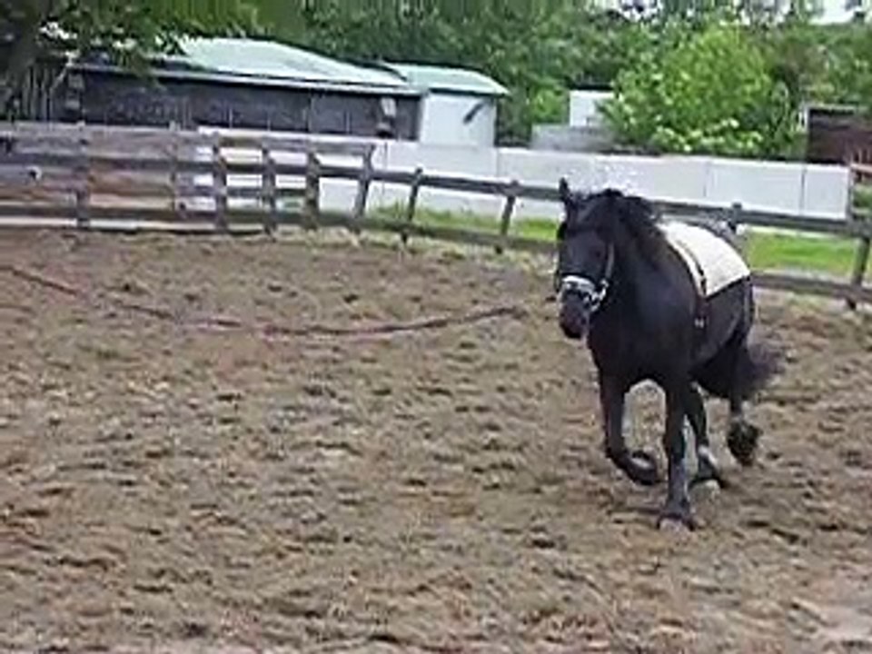 jaike galop