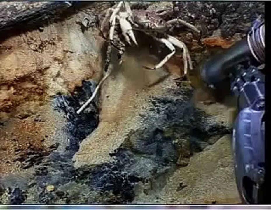 SS Republic Ship, Shipwreck Treasure Hoard Discovery, Civil War Era Gold & Silver Coins Re