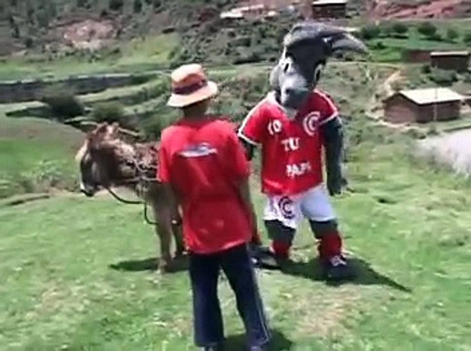 Burrito Sabanero - Villancicos