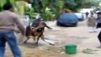 Onları kızdırmaya gelmiyor