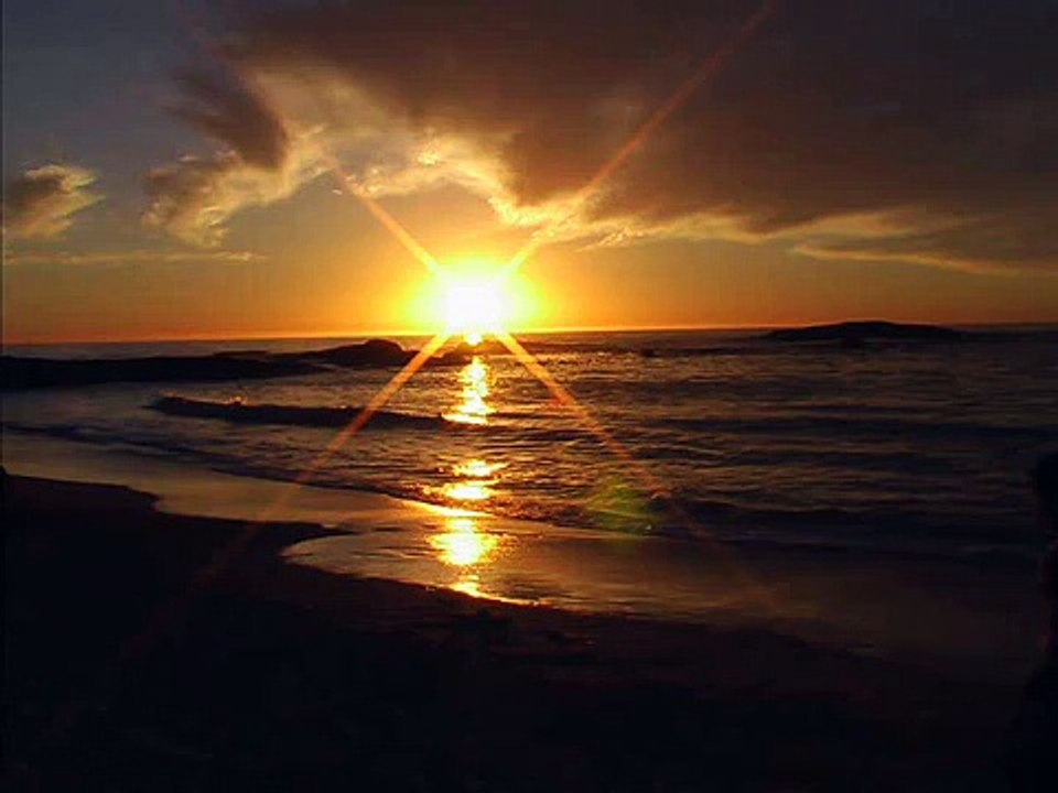 End of the Road-Hothouse Flowers