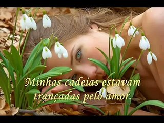 Salvatore  Adamo      F Comme Femme   Tradução