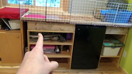 January Rabbit Cage Tour