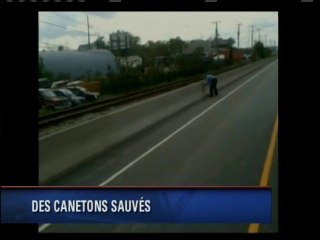 26 mai 2015 Le TVA Nouvelles de 18hres Gatineau - Ottawa