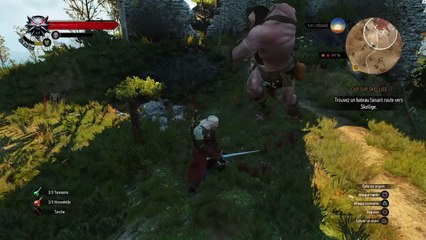 The Witcher 3: Cyclope