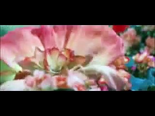 The Spiderwick Chronicles Trailer