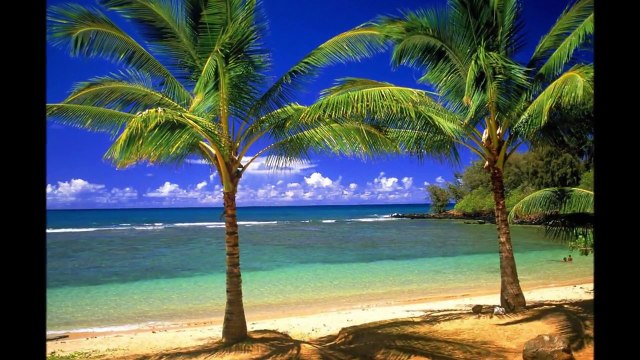 موسيقى رومانسية هادئة ذكريات حب ضائع جيتار اسباني F. Goya Romance De Amour ::الثقافة الرومانسية