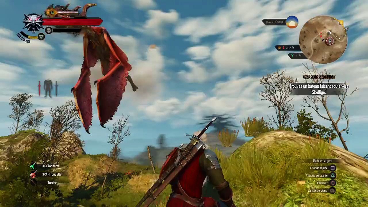 The Witcher 3: Wyvern