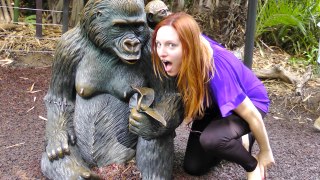 Nixie's Birthday Vlog Zoo Extravaganza