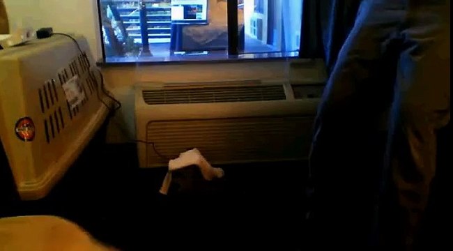 Eldad with Roadie Feb 11 2013