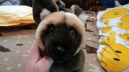 MY WEBKINZ SIGNATURE SMALL FOX PACKAGE CAME!!! :D