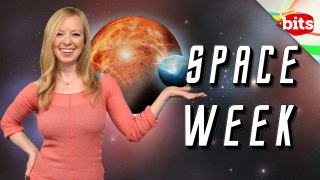 Space Week 2013: How Far We've Come, Plus Welcome Animalist