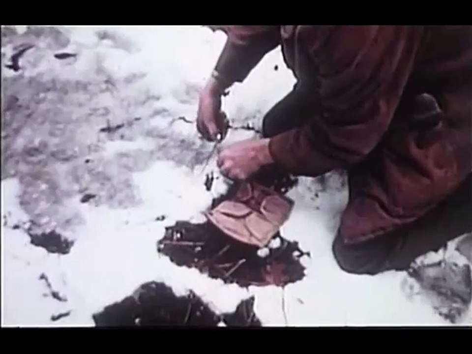 The Legend Of Bigfoot (1976) - Trailer