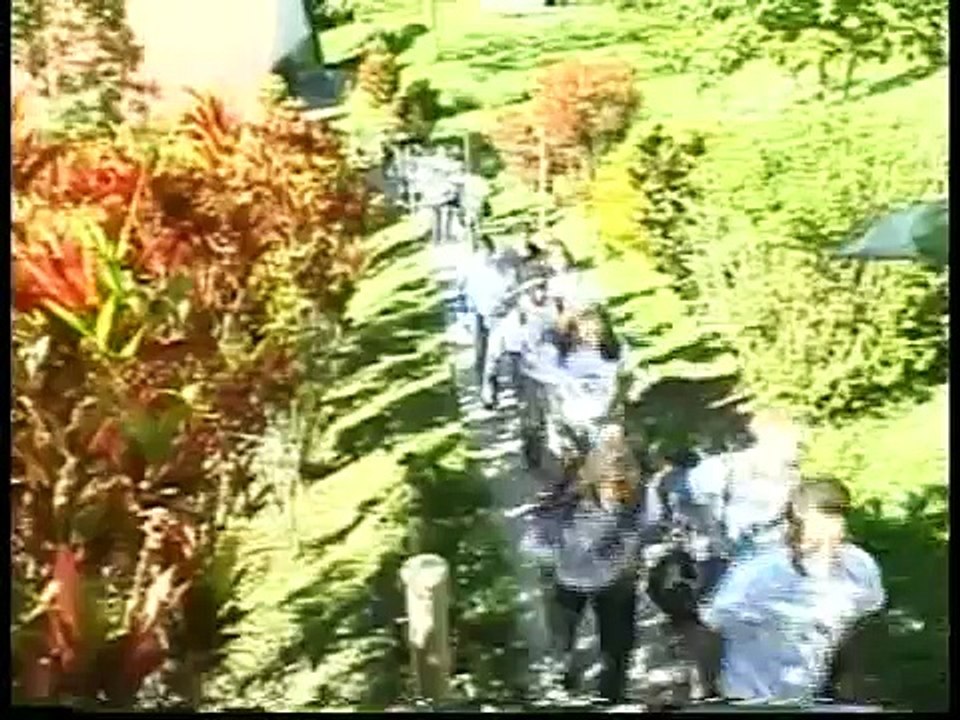 Nunca mas sere - Ingrid Rosario