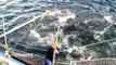 Thunfisch: Rettung durch neue Zuchtmethode