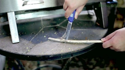 Easy End-of-Summer Projects and September Deals