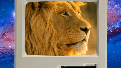 Mac OS X Lion SECRETS, Hackintosh Upgrades, and FreeNAS Blowout!