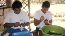 Sea Turtles Xcaret Conservation and release Progam