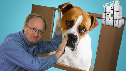 Ben Let the Dogs Out: Electronic Door Build - Part 2