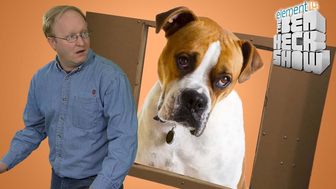 Ben Let the Dogs Out: Electronic Door Build - part 1