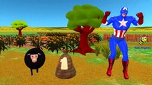 Spiderman Cartoon Finger Family,Baa Baa Black Sheep | Popular Nursery Rhymes Collection fo