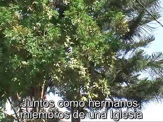 JUNTOS COMO HERMANOS