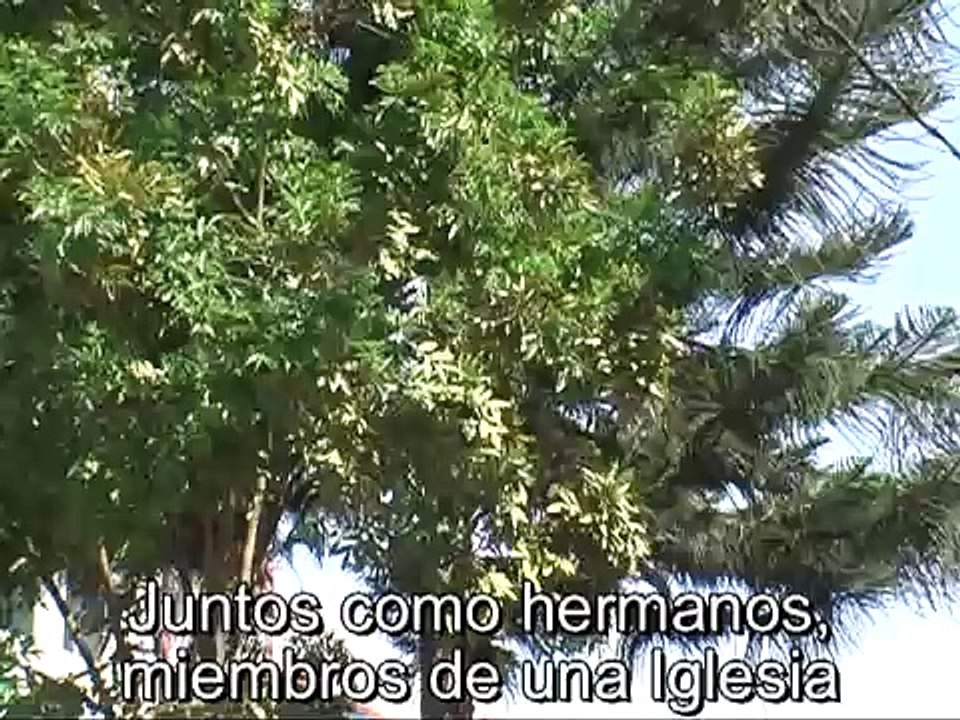 JUNTOS COMO HERMANOS
