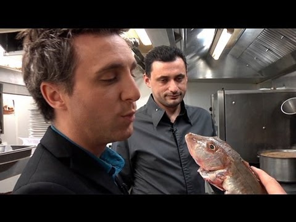 Toques Toques : Bouillabaisse !