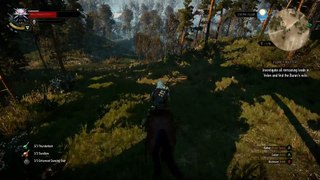 The witcher 3 Wild Hunt with SweetFX SS V1.1 and More Horses mod!