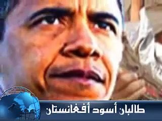 طالبان أسود أفغانستان