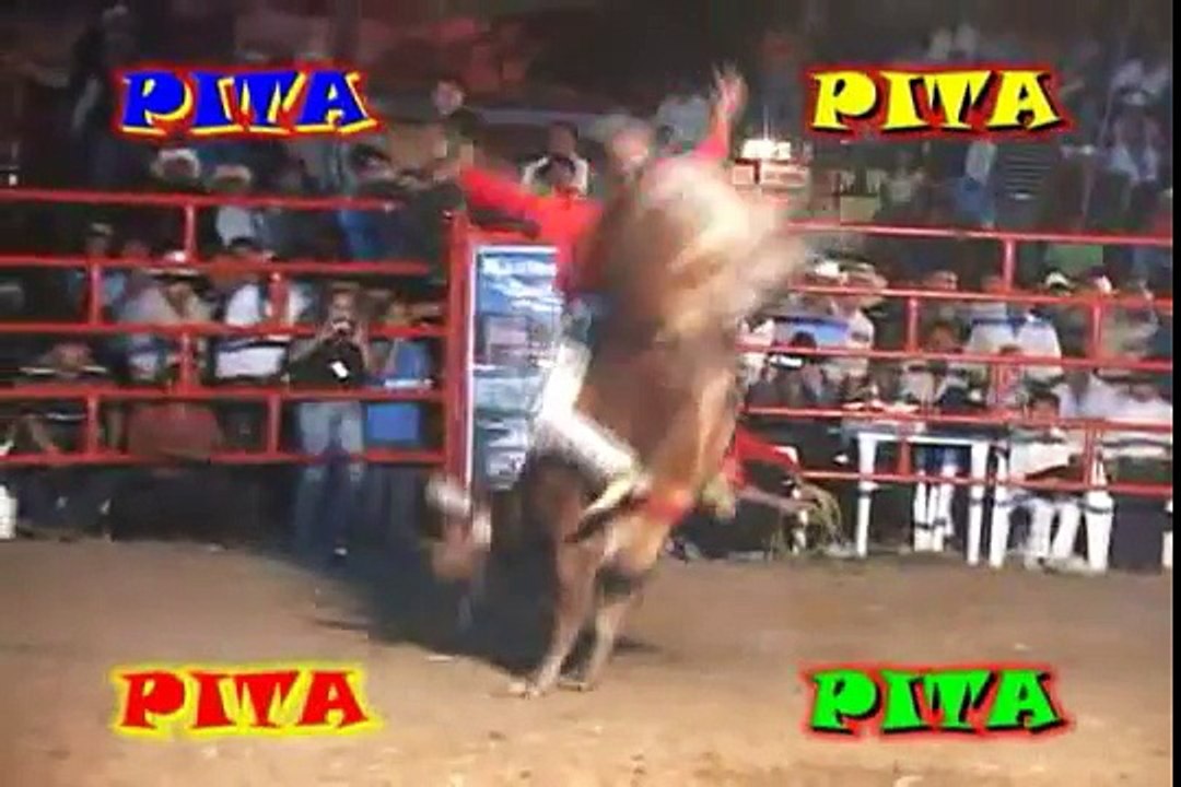 !!MONTONON¡¡ Gorrion de Nayarit vs el Camaron de Rancho la  Mision