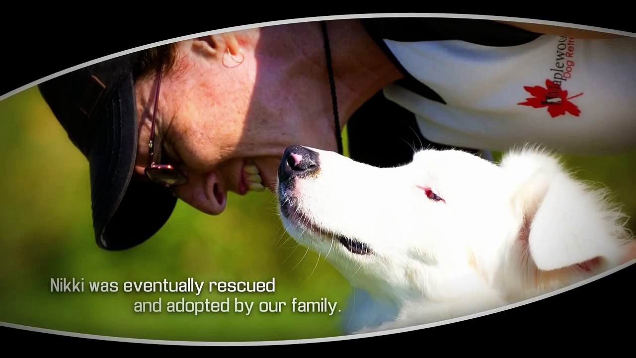 Nikki | The Blind Aussie