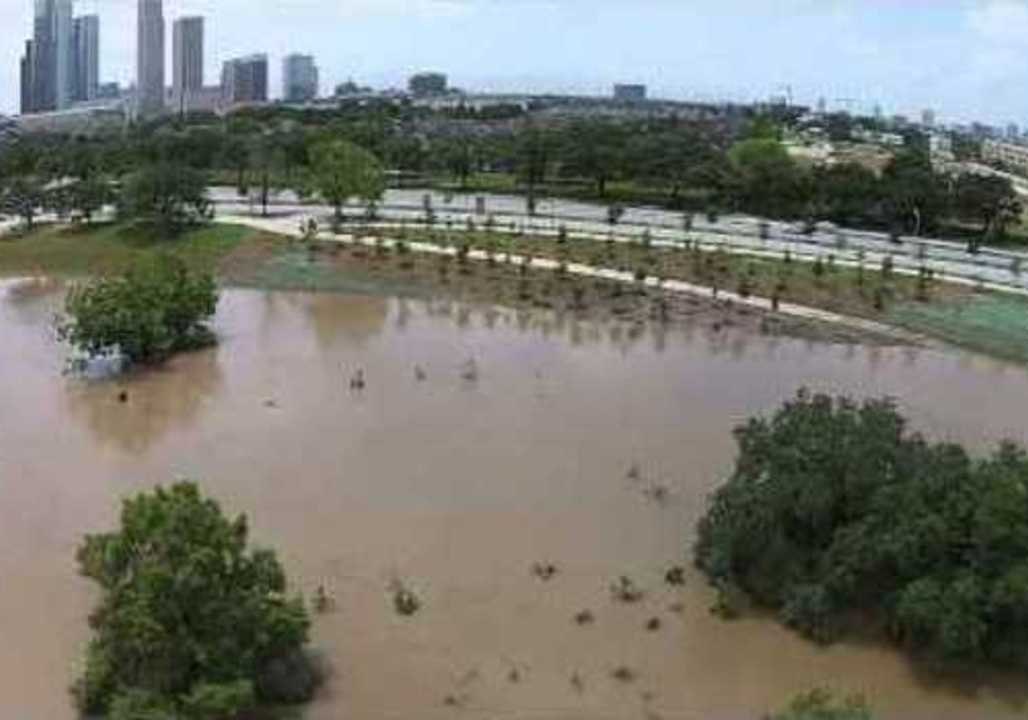 Drone Footage Shows Extent of Downtown Houston Flooding