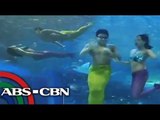 Learn how to swim like Dyesebel