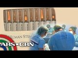 Stem cell doctors falsifies PRC chairman signature