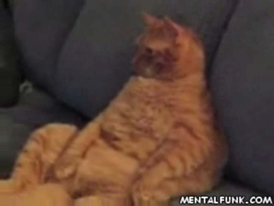 Chat mate TV
