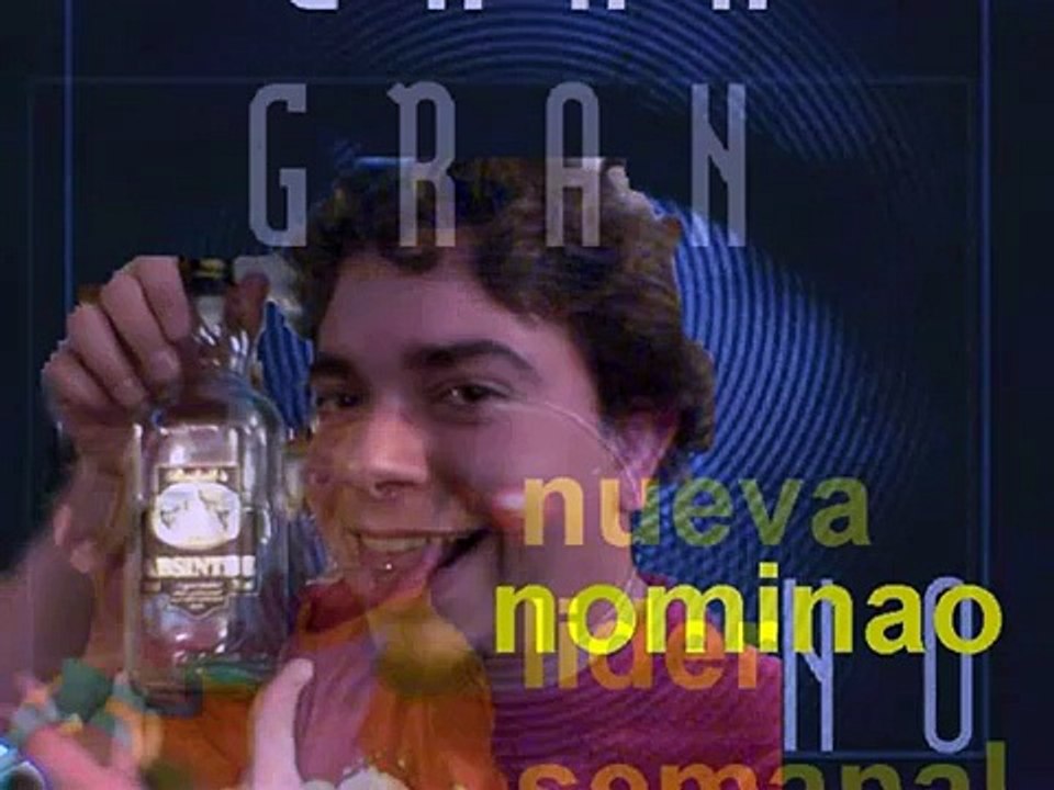 GRAN HERMANO 9 2007