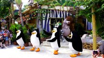 Madagascar Penguins Dance, Universal Studios Singapore