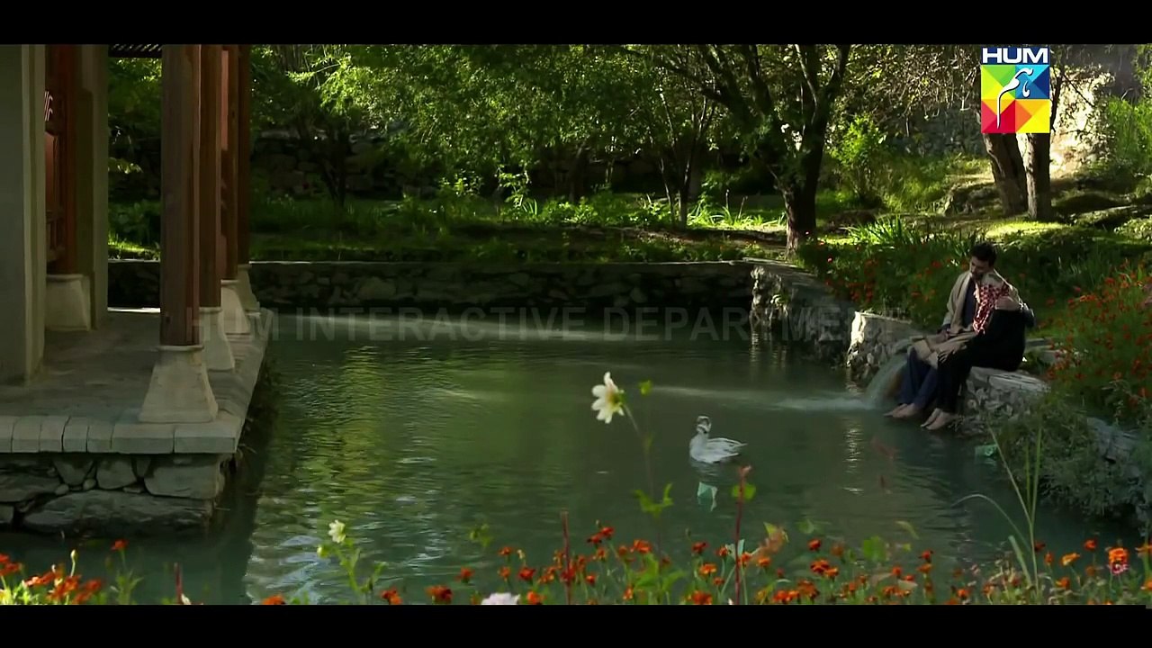 Diyar E Dil OST HUM TV Drama