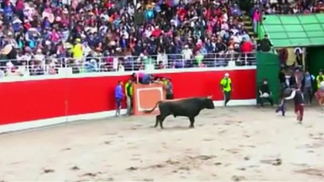 Horrifying footage shows bulls goring terrified spectators after escaping from ring and ploughing i