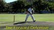 Cricket Batting Tips - How to play all the cricket shots using perfect technique from a side on view