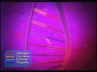 Mutations génétiques