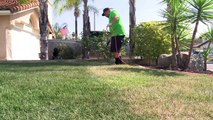 Californians cope with drought by painting their lawns green