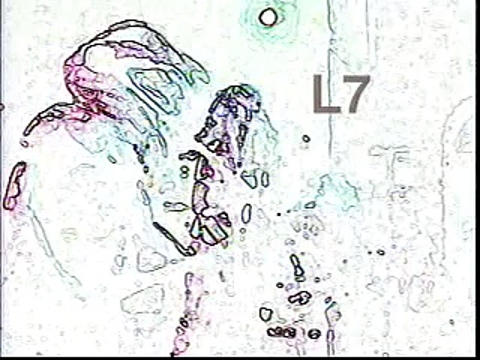 L7 - "Death Wish"