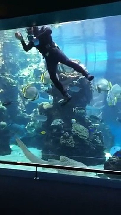 What An Amazing Experience
