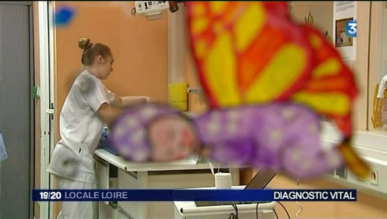 France 3 Loire - 26 mai 2015